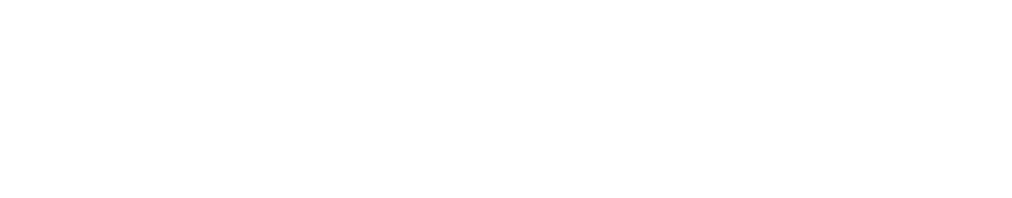 Webservice Meier